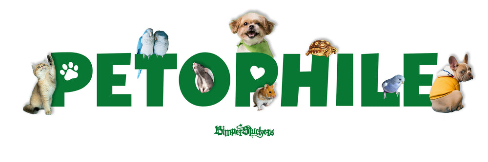 I love pets!