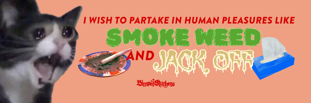 Human Pleasures